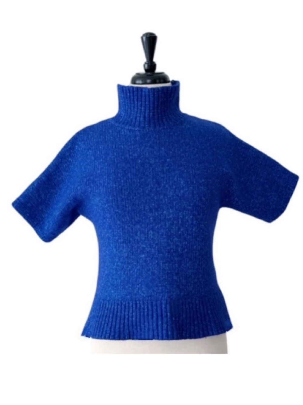 Club Monaco Short Sleeve Cropped Turtleneck Sweater